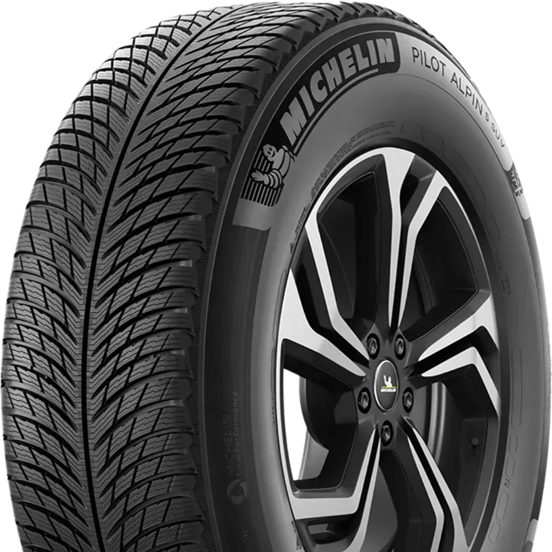 Michelin Pilot Alpin 5 SUV 255/70 R18 116 V XL