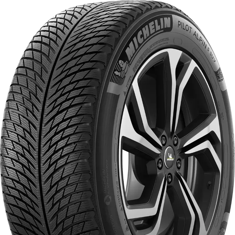 Michelin Pilot Alpin 5 SUV 265/55 R19 113 H XL