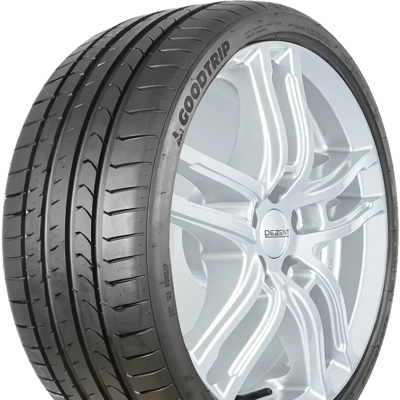 Goodtrip SportGuard 215/55 R18 99 V XL