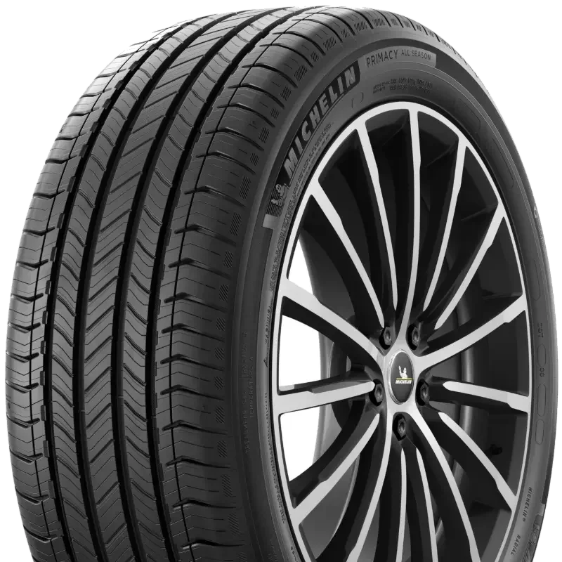 Michelin Primacy All Season 255/60 R20 113 Y XL, LR