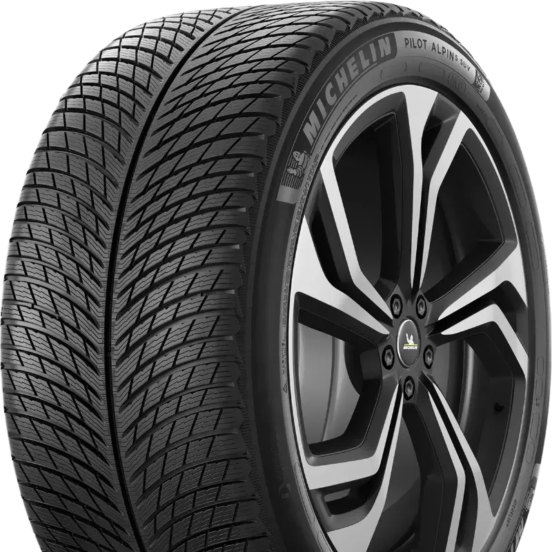 Michelin Pilot Alpin 5 SUV 305/40 R21 113 V XL, NC0