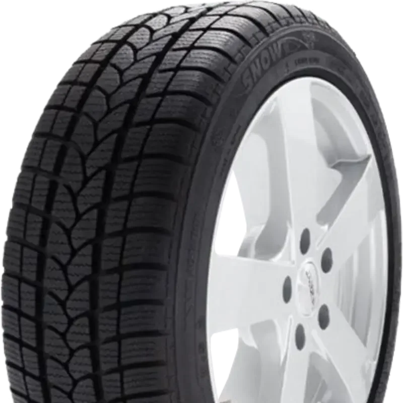 Sebring Formula Snow+ (601) 165/70 R14 81 T
