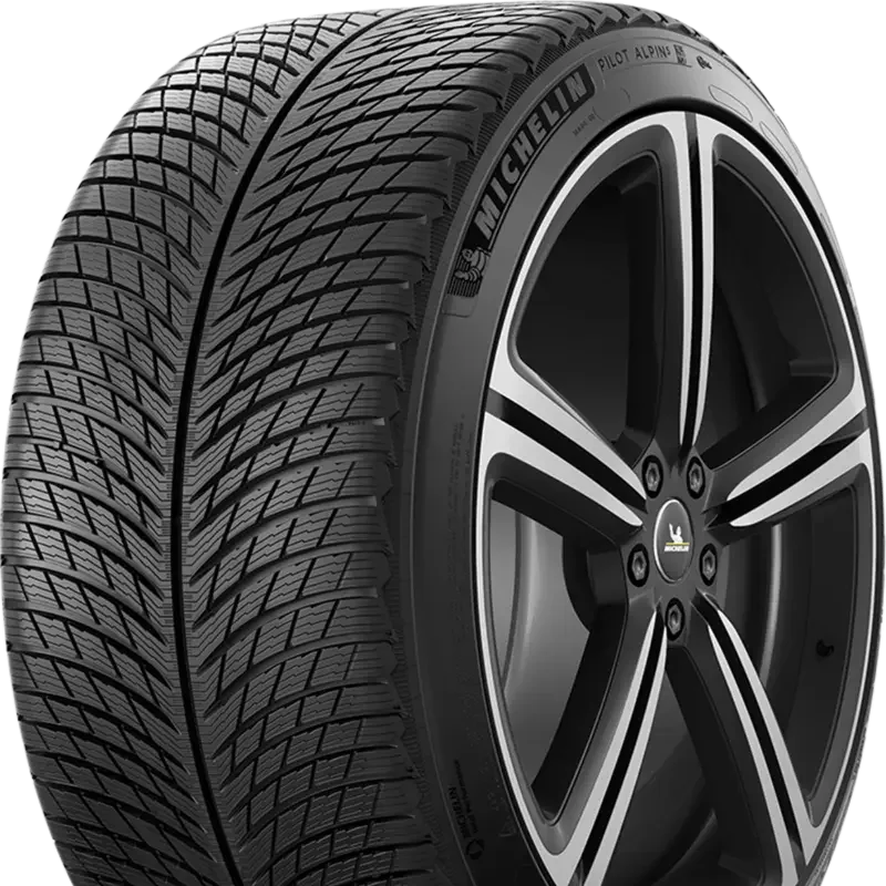 Michelin Pilot Alpin 5 295/35 R20 105 W XL, MO1A
