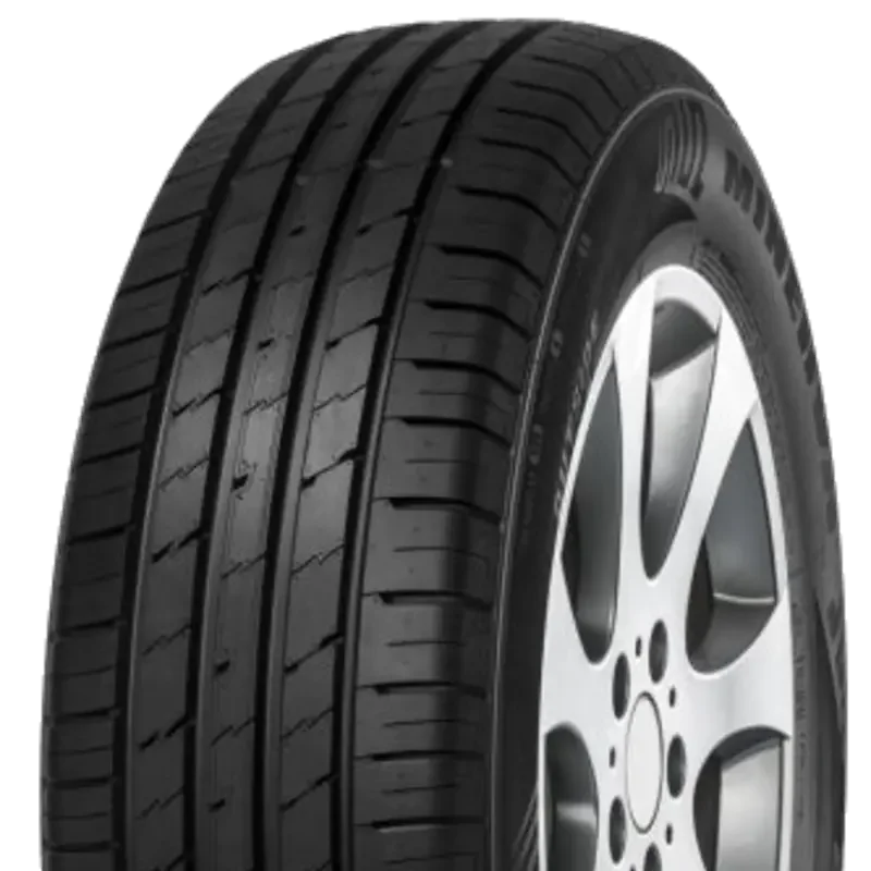 Minerva EcoSpeed 2 SUV 225/55 R19 99 V
