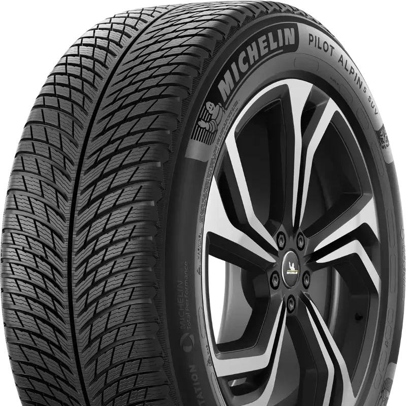 Michelin Pilot Alpin 5 SUV 255/55 R20 110 V XL