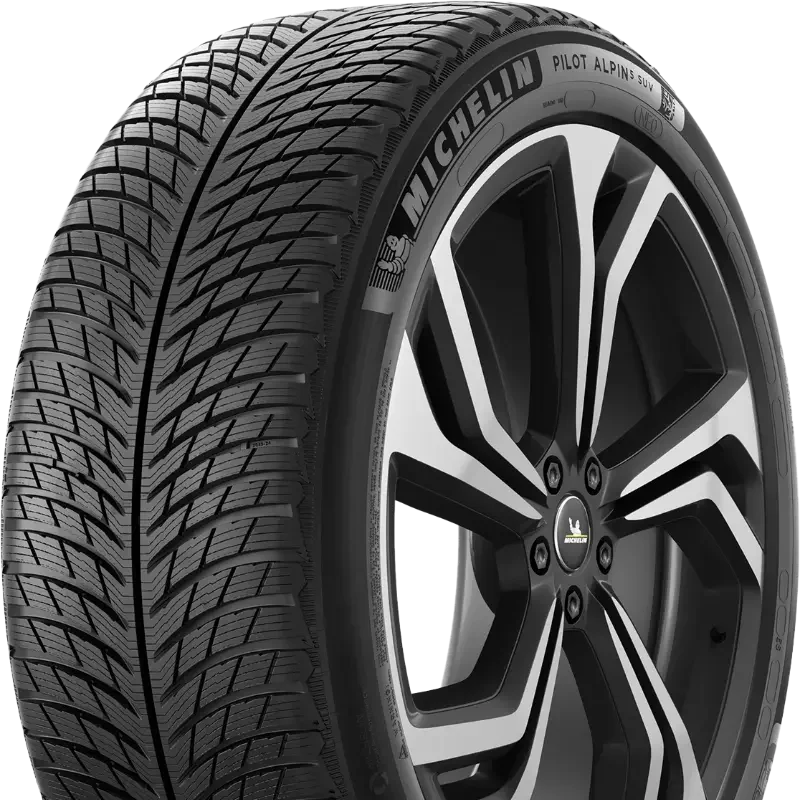 Michelin Pilot Alpin 5 SUV 255/45 R21 106 V XL, NE0