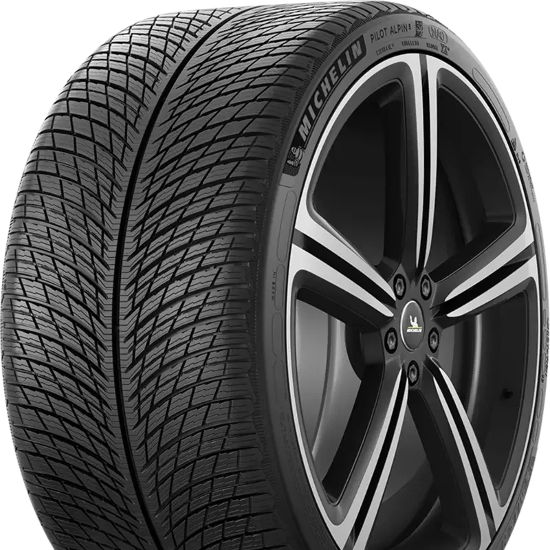 Michelin Pilot Alpin 5 295/30 R21 102 V XL, NA0