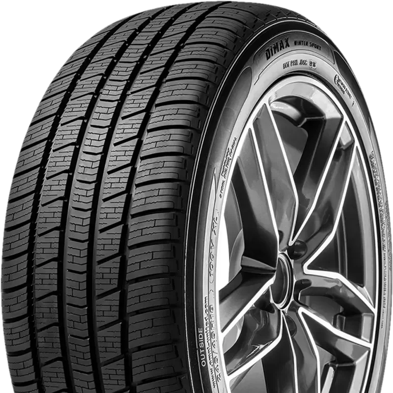 Radar Dimax Winter Sport 185/55 R15 86 V XL