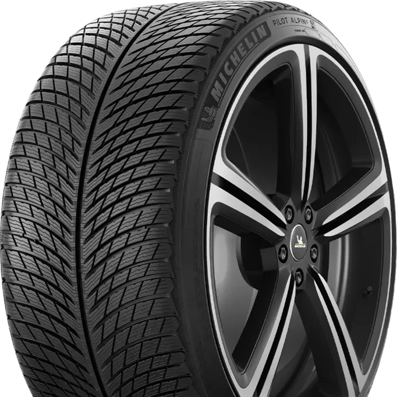 Michelin Pilot Alpin 5 315/30 R21 105 V XL
