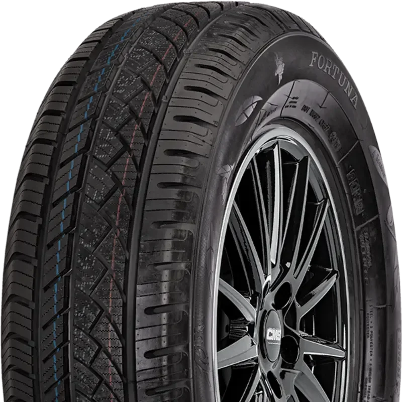 Fortuna Ecoplus Van 4S 205/65 R16 107/105 T C