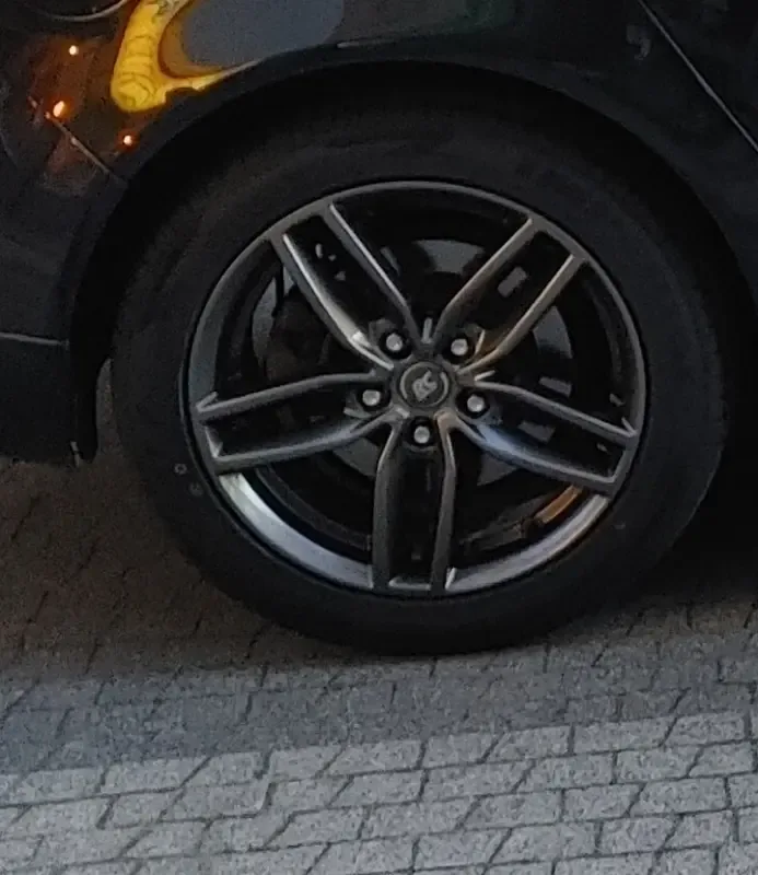 Zdjęcie użytkownika modelu RC 29 DSL