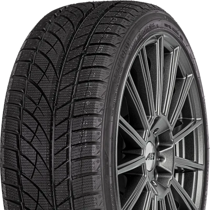 Evergreen EW66 225/55 R17 97 H