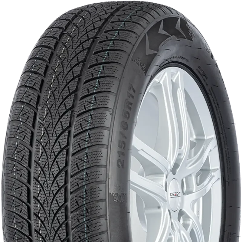 Triangle Winter X TW401 215/65 R17 99 V