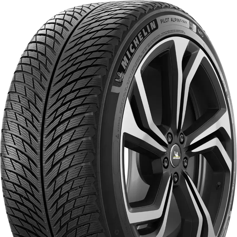 Michelin Pilot Alpin 5 SUV 255/45 R20 105 V XL, MO